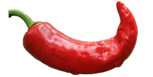 chilli, pepper, chilli pepper-2818724.jpg